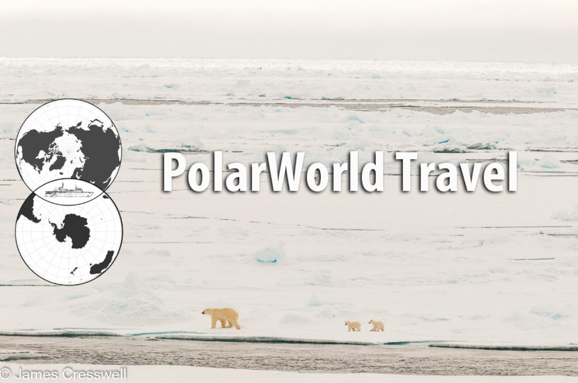An image of polar bears on sea ice with the PolarWorld Travel logo
